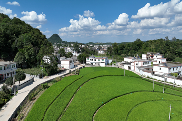 青綠為底 “錦繡”山河——海螺環(huán)保助力守護(hù)綠水青山